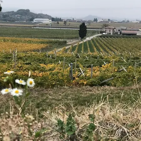 La Grotta * Pastrengo