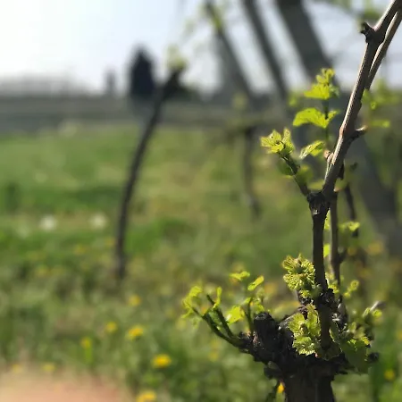 La Grotta *