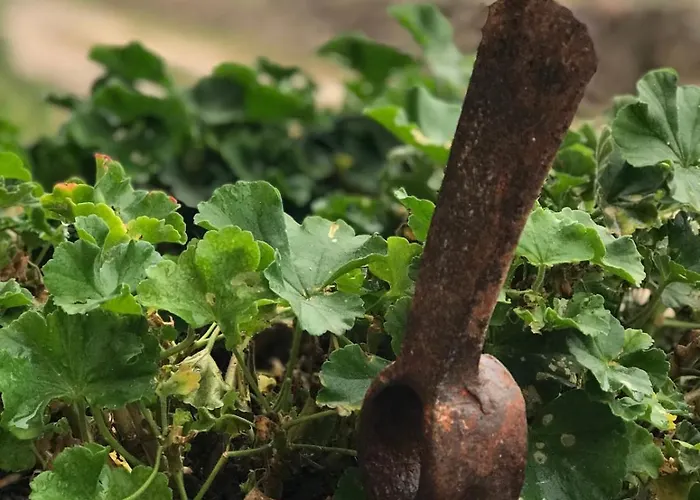 Nyaraló La Grotta *