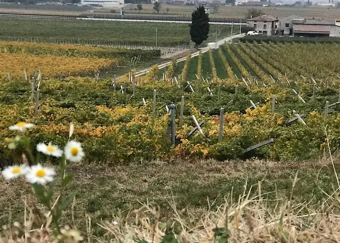 La Grotta * Pastrengo