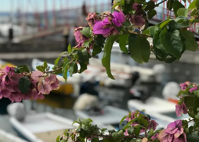 La Grotta Nyaraló *